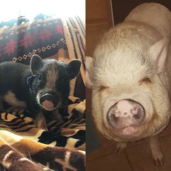 C258C70F-AE76-48CE-8AAF-F163E090FD16